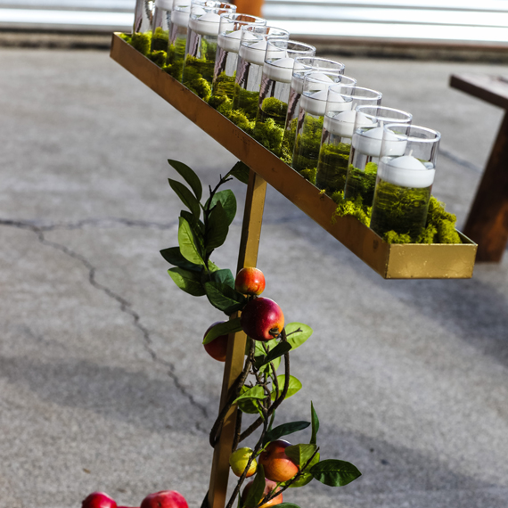 Events 4 Life Events 4 Life